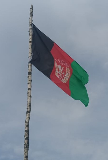 Obrázek